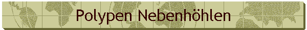 Polypen Nebenhöhlen