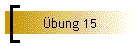 bung 15